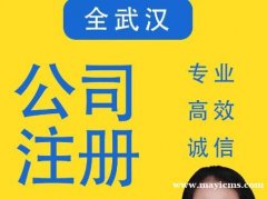 武汉易企航企业服务·注册公司|代理记账|公司减资|企业注销|