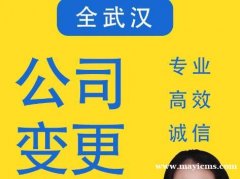 武汉易企航企业服务·注册公司|代理记账|公司减资|企业注销|