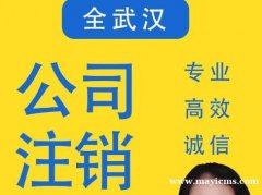 武汉易企航企业服务·注册公司|代理记账|公司减资|企业注销|